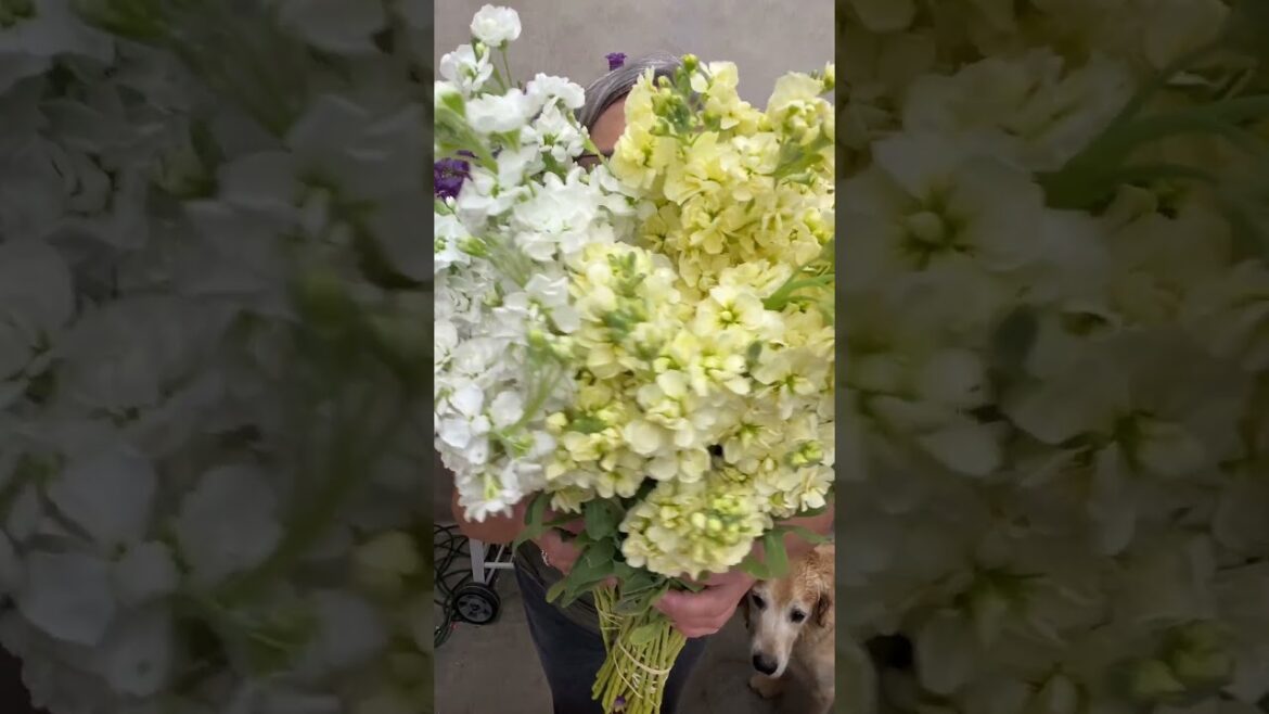 nother #coolflower that bloomed for Mother’s Day.