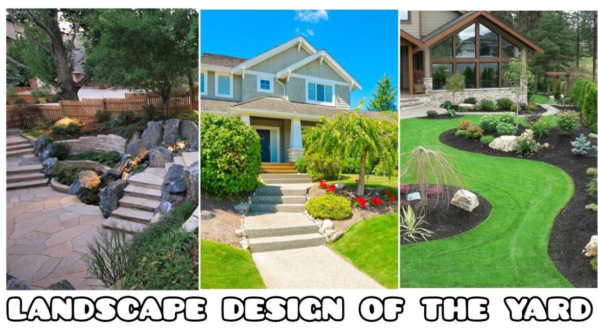 Landscape design of the front and back yard