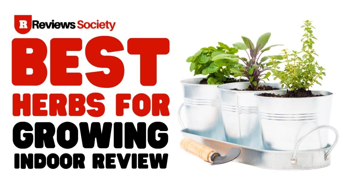 Best Herbs For Growing Indoors Review | Gardener’s Supply | Watch The Video and Then Buy Best Herbs For Growing Indoors Review | Gardener's Supply | Watch The Video and Then Buy