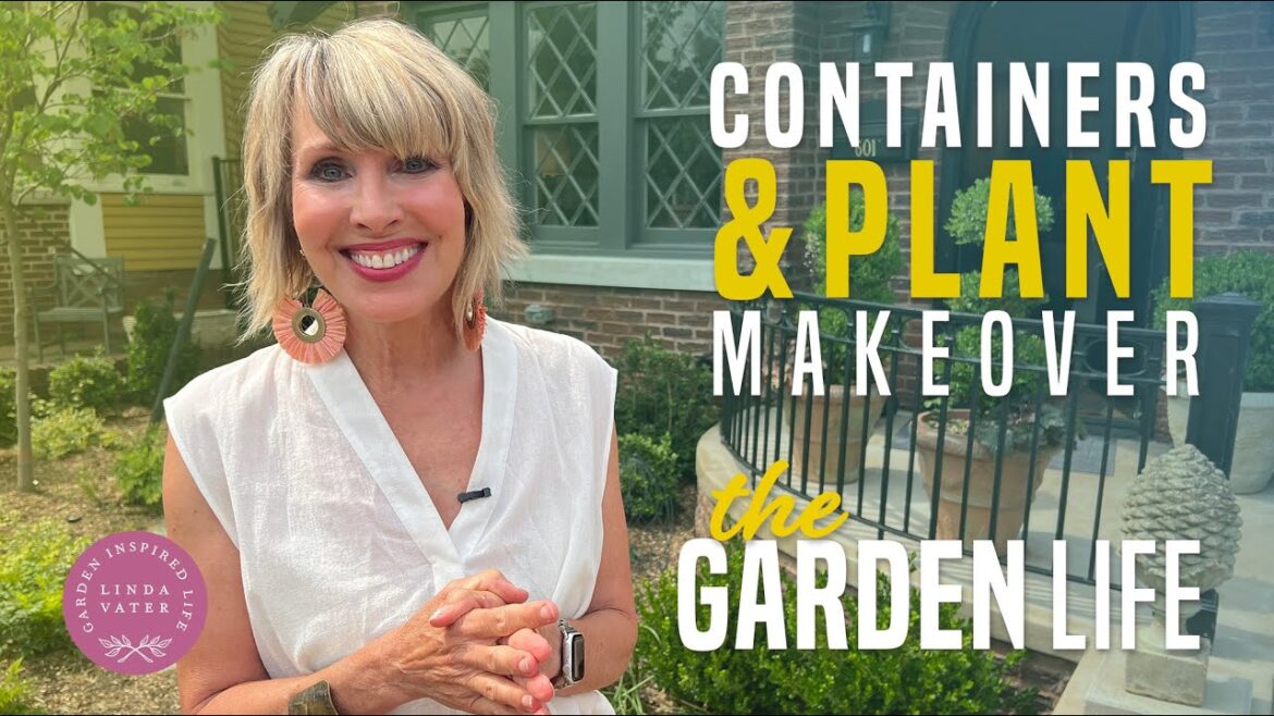 Containers Gardening and Plant Makeover