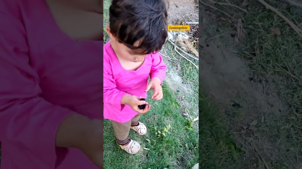 Mulberry fruit picking- Little kids Picking and eating mulberries #shorts #satisfying Mulberry fruit picking- Little kids Picking and eating mulberries #shorts #satisfying
