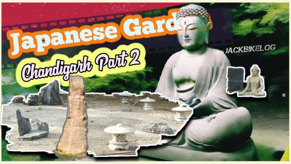 2: Secrets of Japanese Garden at Night - Unearthed Quality | Chandigarh | JackBikeLog