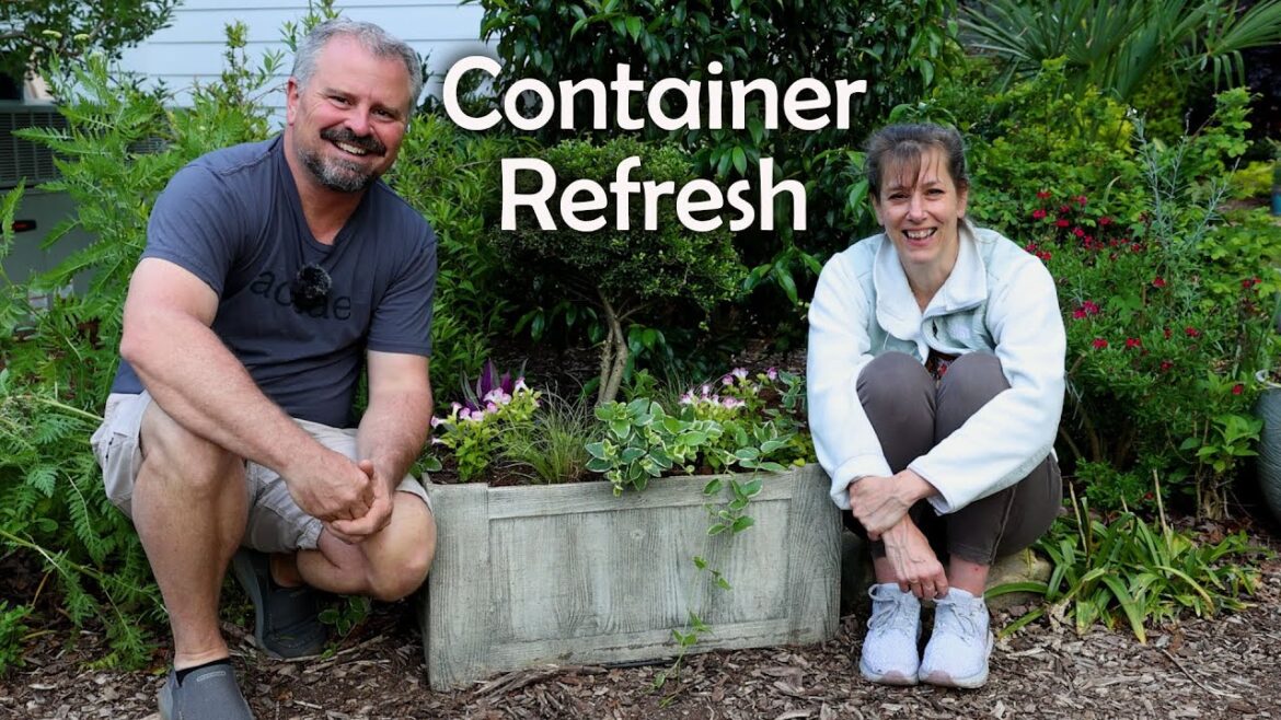 Garden Container Planting on a Budget Garden Container Planting on a Budget