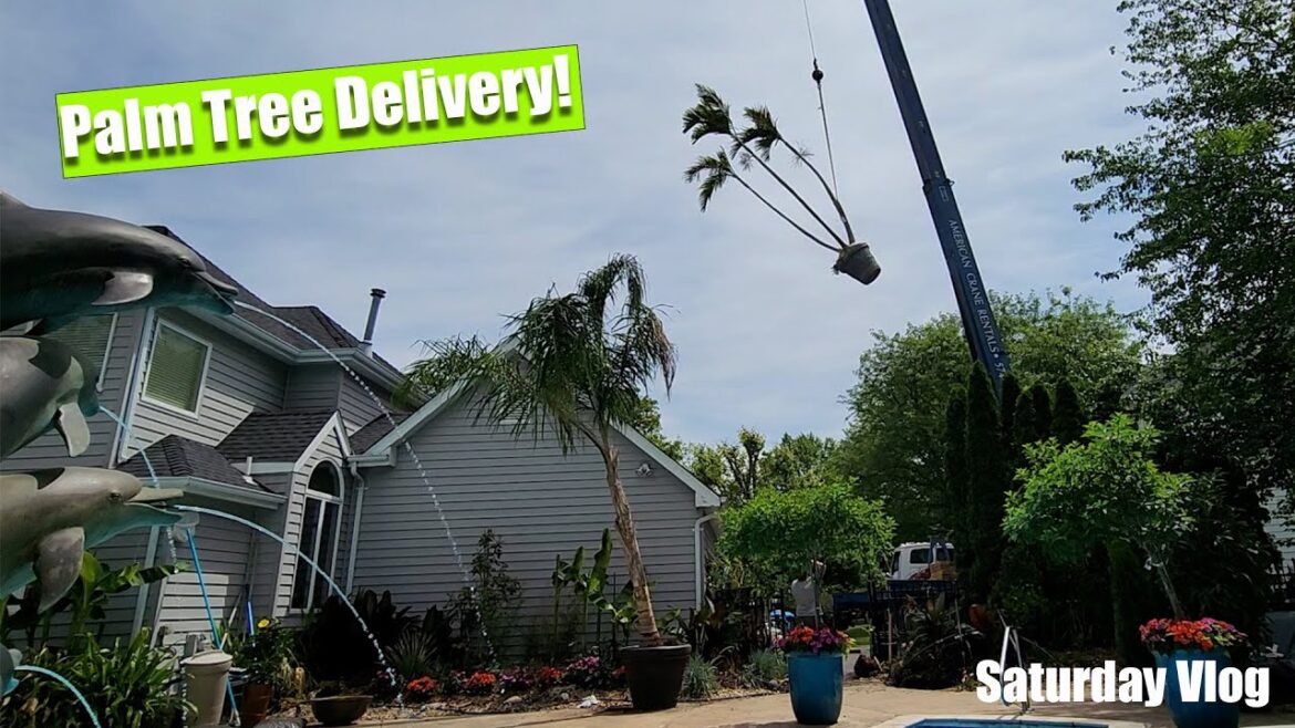Plant Delivery By Crane || Palm Trees Are Back! || Saturday Vlog Plant Delivery By Crane || Palm Trees Are Back! || Saturday Vlog