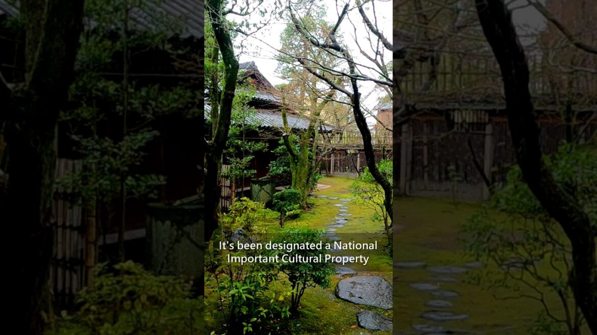 Tranquil Japanese Garden of a powerful businessman | Tea Garden  | OHARA HOUSE KATALYZER