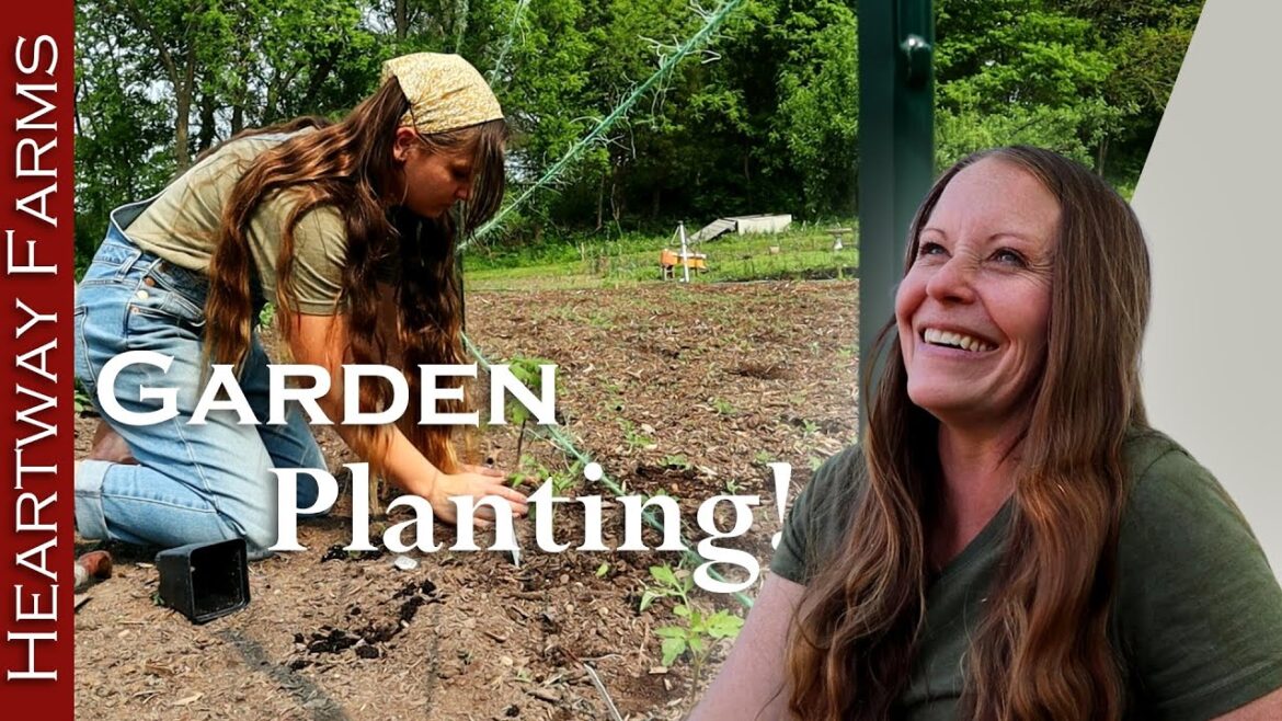 NO STRESS Gardening! Amazing garden soil from compost | Spring garden | Heartway Farms NO STRESS Gardening! Amazing garden soil from compost | Spring garden | Heartway Farms