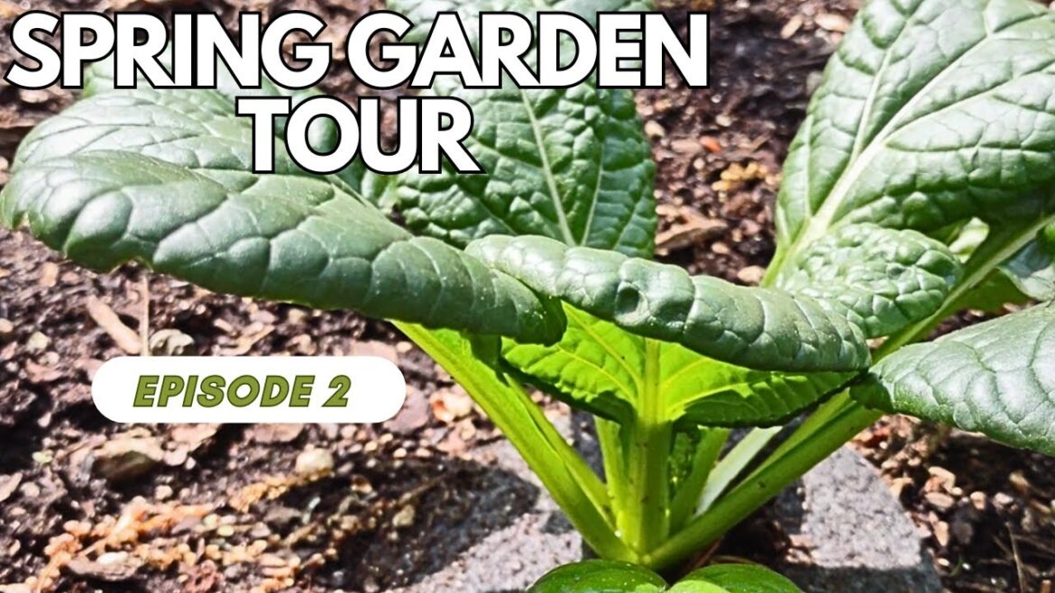 Spring Garden Tour 2023 Episode 2 Garden by the Brook Spring Garden Tour 2023 Episode 2 Garden by the Brook