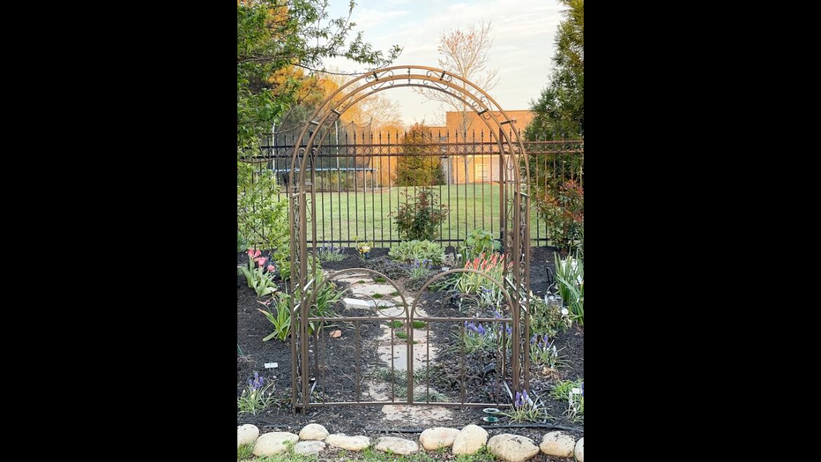 Backyard Garden Update 2023 & Another Arbor