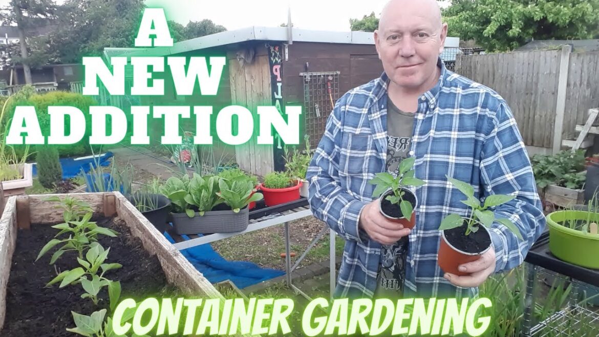A New Addition [Gardening Allotment UK] [Grow Vegetables At Home ]