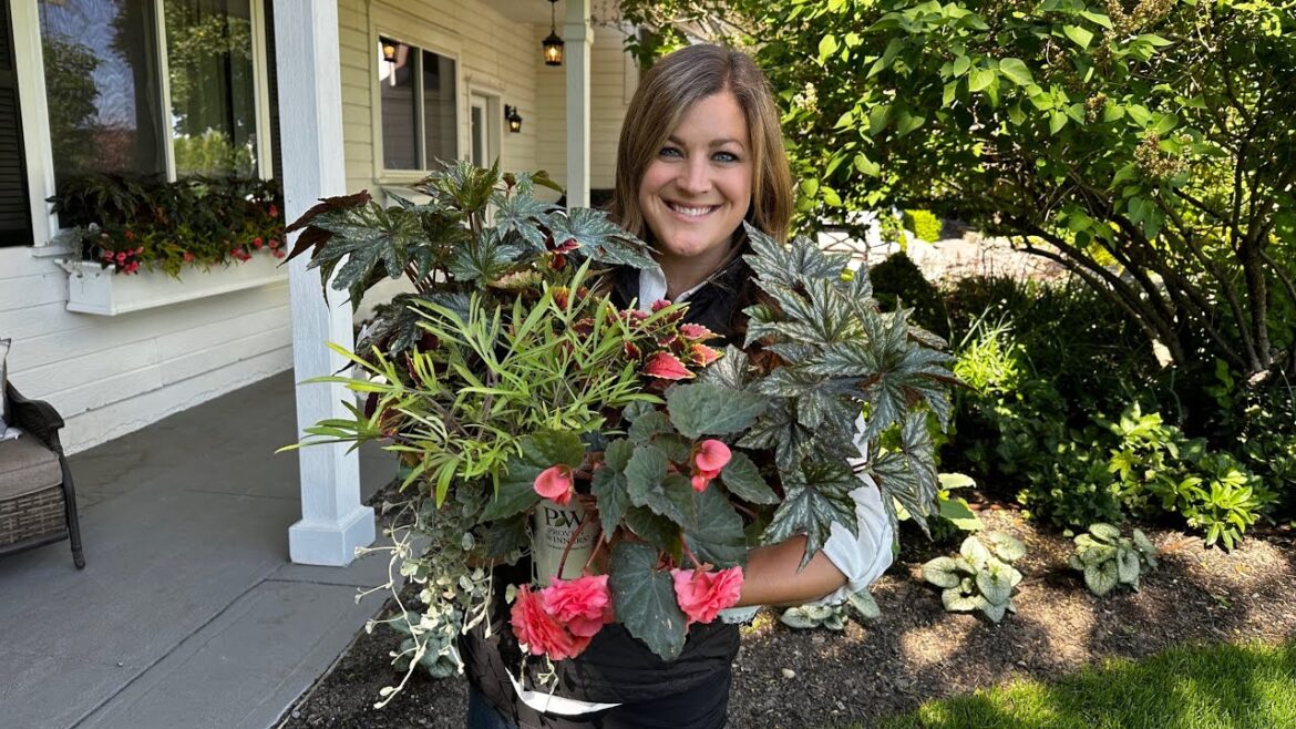 Garden Answer: Pretty Window Box Flowers for Shade & a Few Full Sun Containers! 🥰☀️🌿 // Garden Answer Pretty Window Box Flowers for Shade & a Few Full Sun Containers! 🥰☀️🌿 // Garden Answer