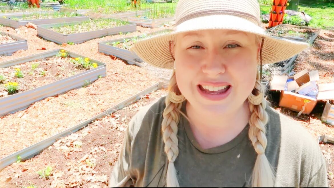 Googling My Way Through Beginner Organic Gardening Googling My Way Through Beginner Organic Gardening