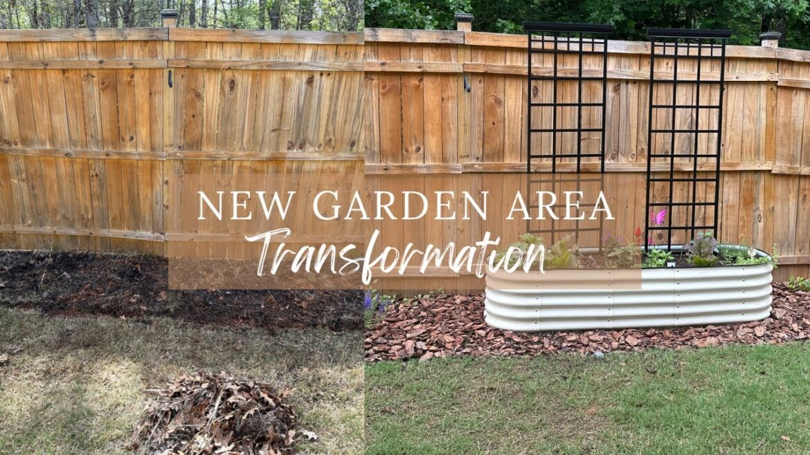 New Garden Area Transformation | Raised Bed Garden Design | Summer Garden Georgia Zone 8A
