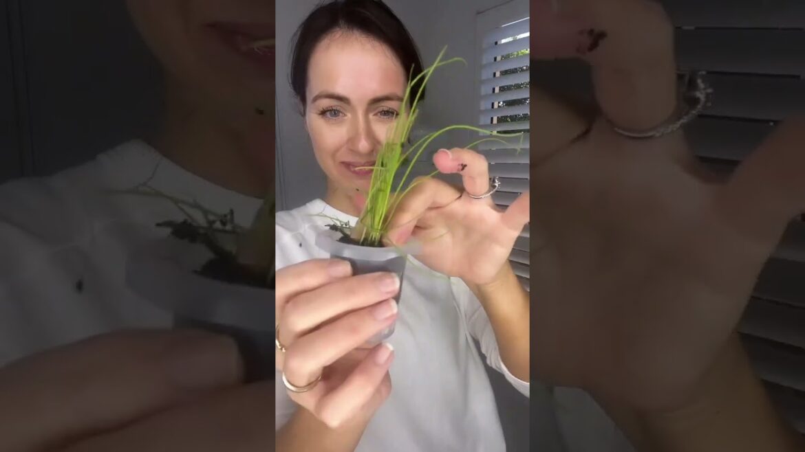 What I've Been Up To Lately