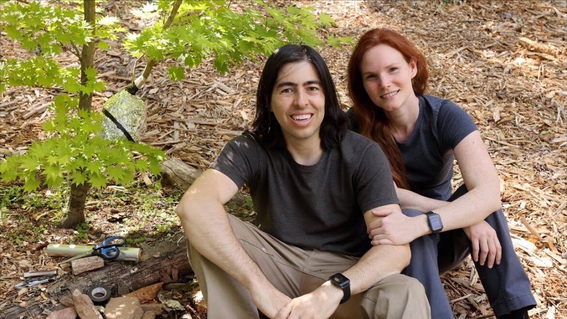 How to Air Layer a Japanese Maples for Almost No Cost: A DIY Tree Propagation Guide