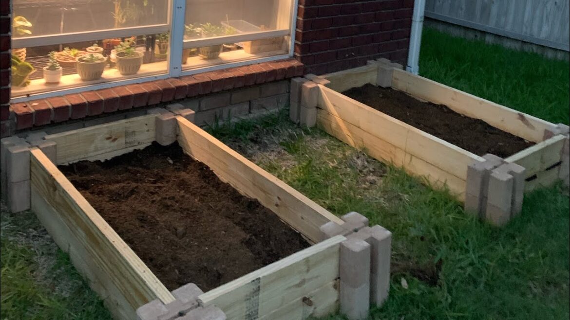 Build a simple raised #garden bed for your #veggies this year!!! #Plantita style 🧱🪵🔨