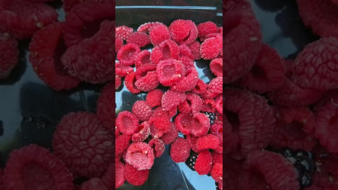 I bet you've never heard of these! #shorts