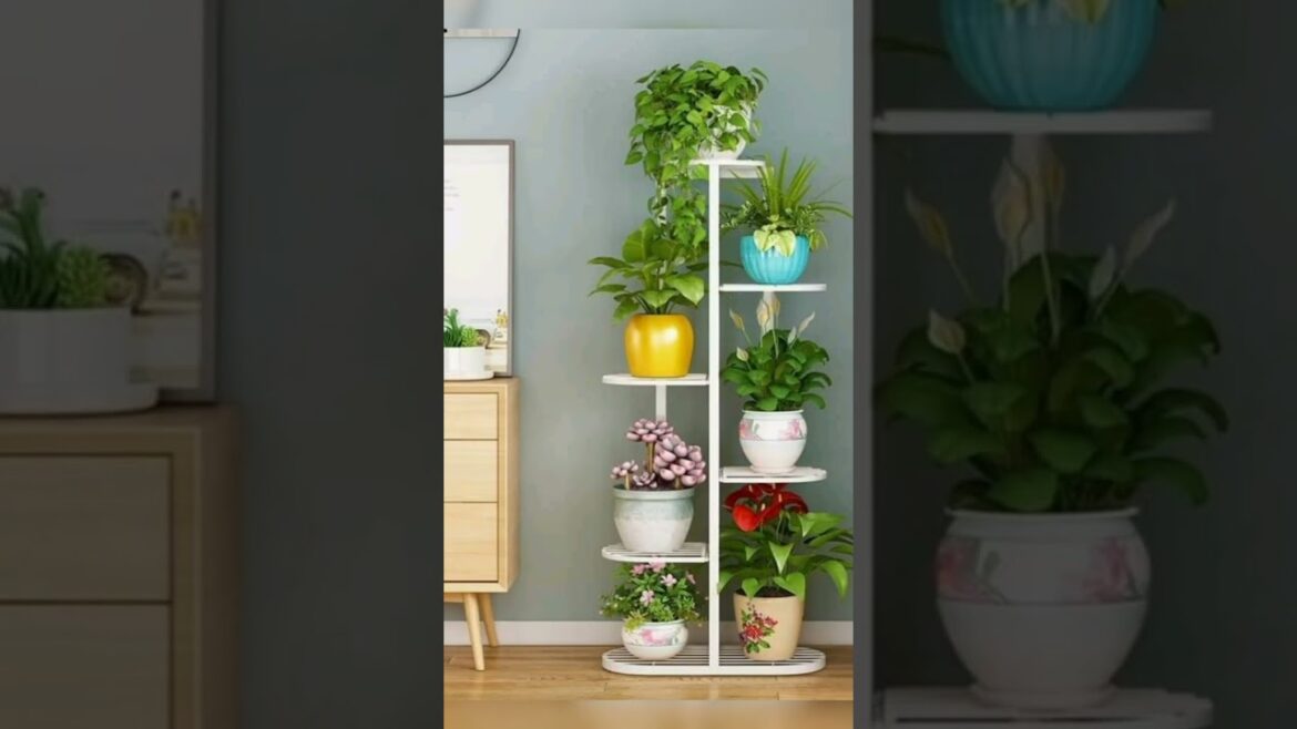 pot stand design😱😯🌲🌹#garden #plantsvszombies #reel#hariyali #shorts