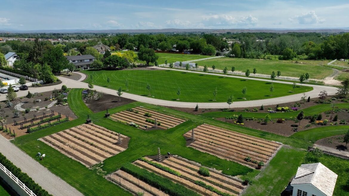 Garden Answer: Late May Garden Tour! 💚✨🥰 // Garden Answer Late May Garden Tour! 💚✨🥰 // Garden Answer