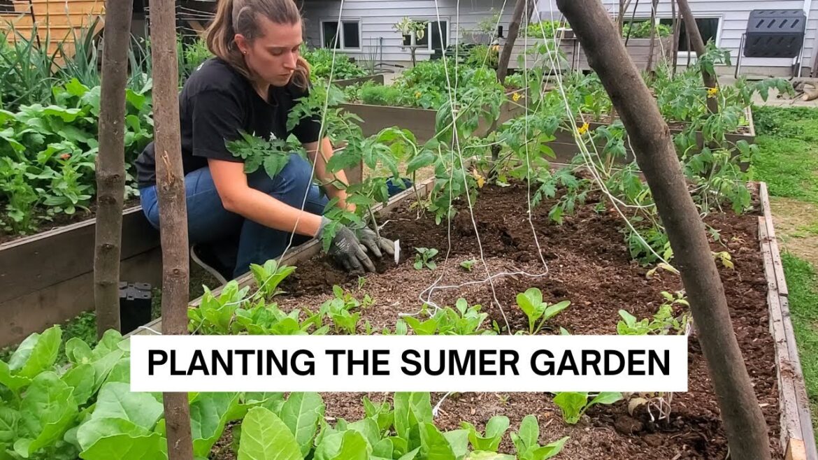 Plant my SUMMER GARDEN with me - tomatoes, trellises and beans oh my!