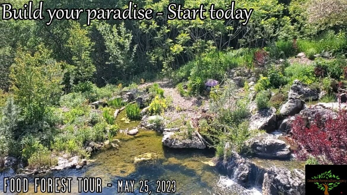 Permaculture Food Forest Tour – May 25, 2023 Permaculture Food Forest Tour - May 25, 2023