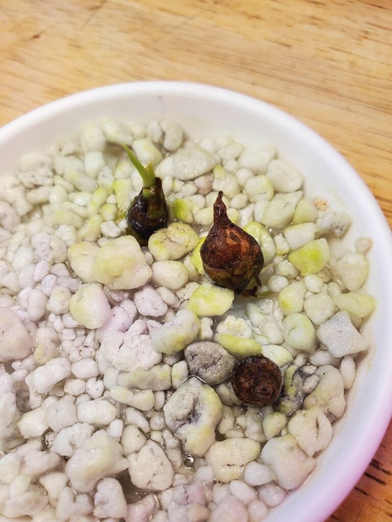 They r small but they r doing it!! #firsttimer