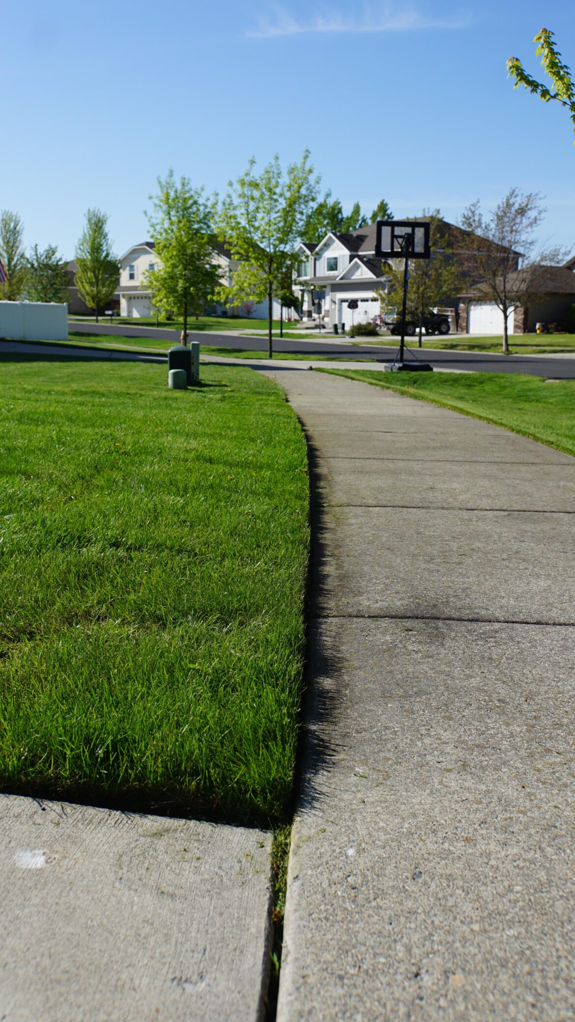 Some Crispy edging for you