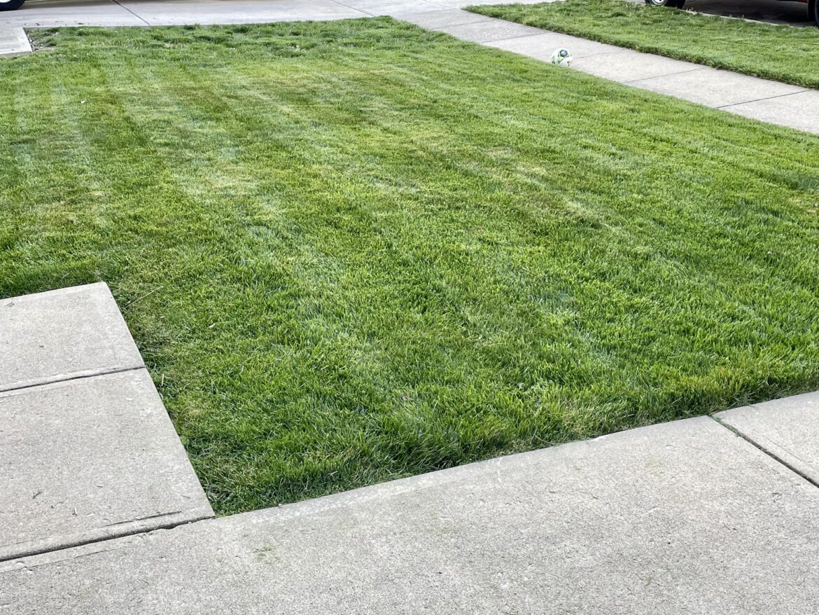 2nd mow of the year