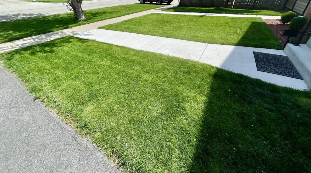 First Cut of the 2023 season