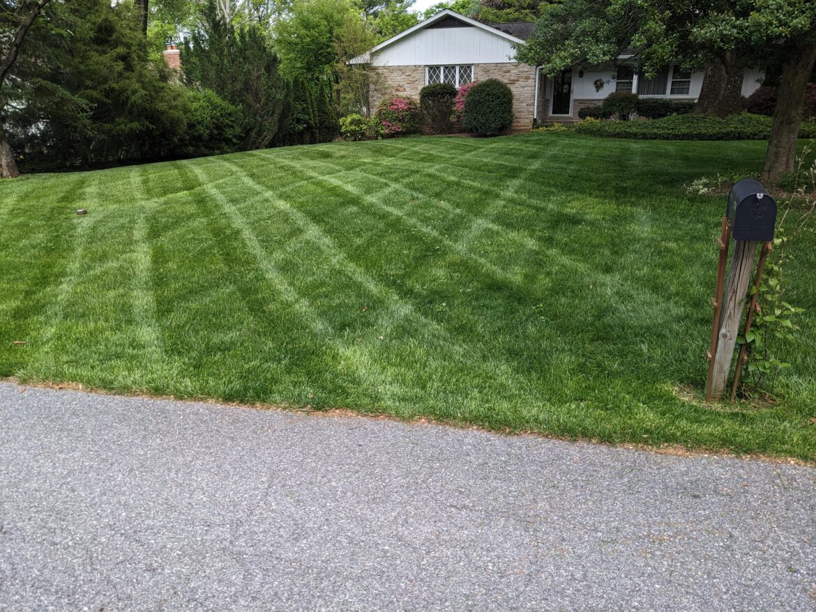 How about some lawn tractor stripes
