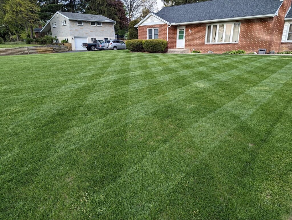 Central Pennsylvania, Rohrer's "Fancy Mix" - KBG/Perennial Rye
