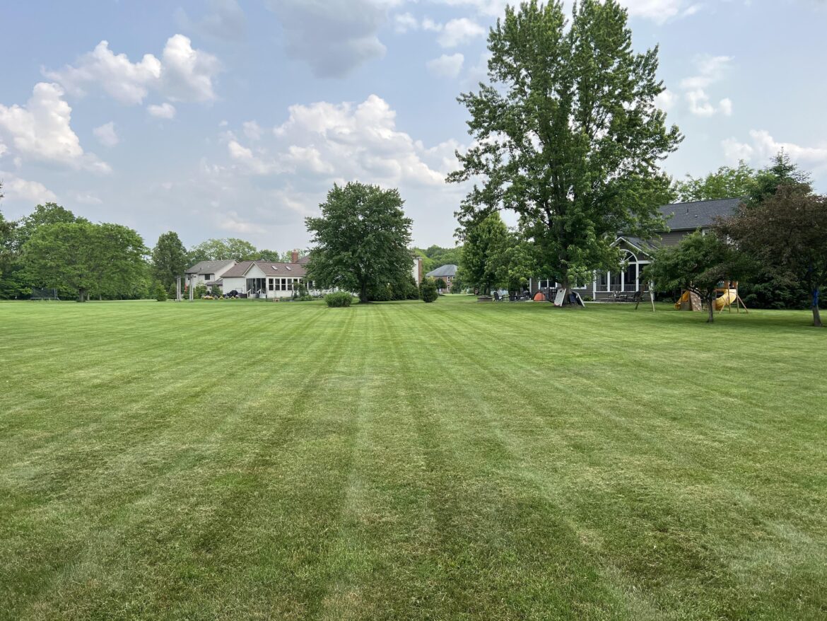 Wednesday therapy session