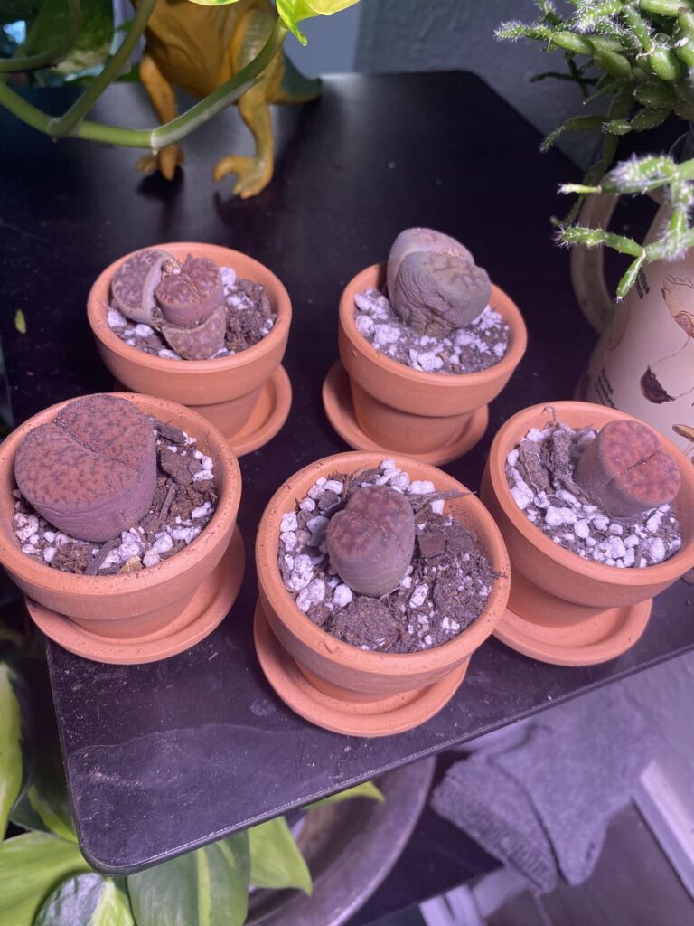 How do these look? I’m concerned about one in particular.