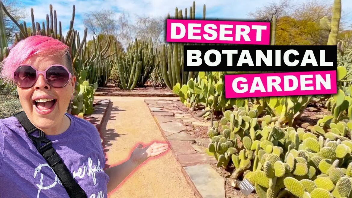 Desert Botanical Garden | A Glimpse Into Arizona Through The Lens On Native Plants