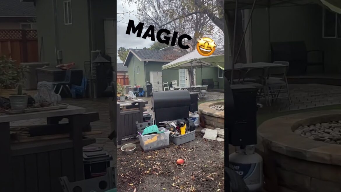 Insane Backyard Landscape Transformation 🤯