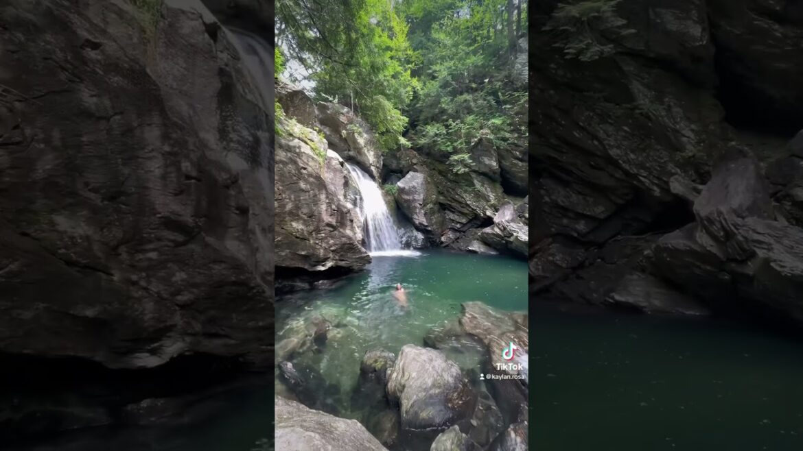 forest fairy lifestyle #naturevibes #naturelover #naturefairy