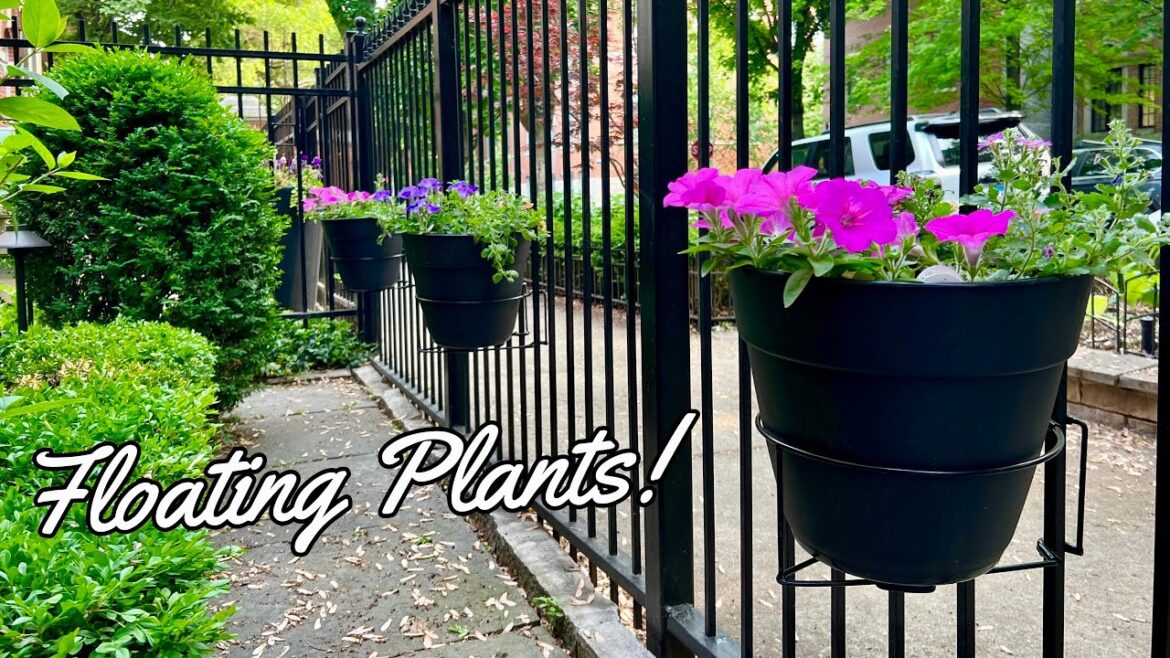 Game-Changing Garden Invention! | Great For Container Gardening Game-Changing Garden Invention! | Great For Container Gardening