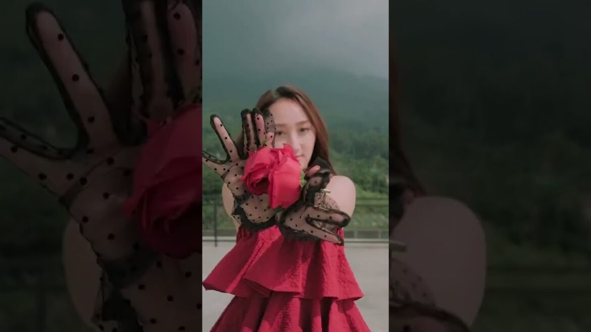 ๐ฎ๐ธ๐บ @sandrinaazzhra #tiktok #Terngiang2 #dance #ini #jisoo #flowers ๐ฎ๐ธ๐บ @sandrinaazzhra #tiktok #Terngiang2 #dance #ini #jisoo #flowers