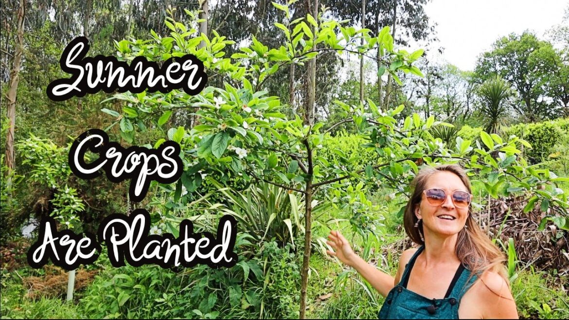 Growing Food – Hobby or Necessity?! Tour Of Our New Summer Planting – Vlog 8 Growing Food - Hobby or Necessity?! Tour Of Our New Summer Planting - Vlog 8