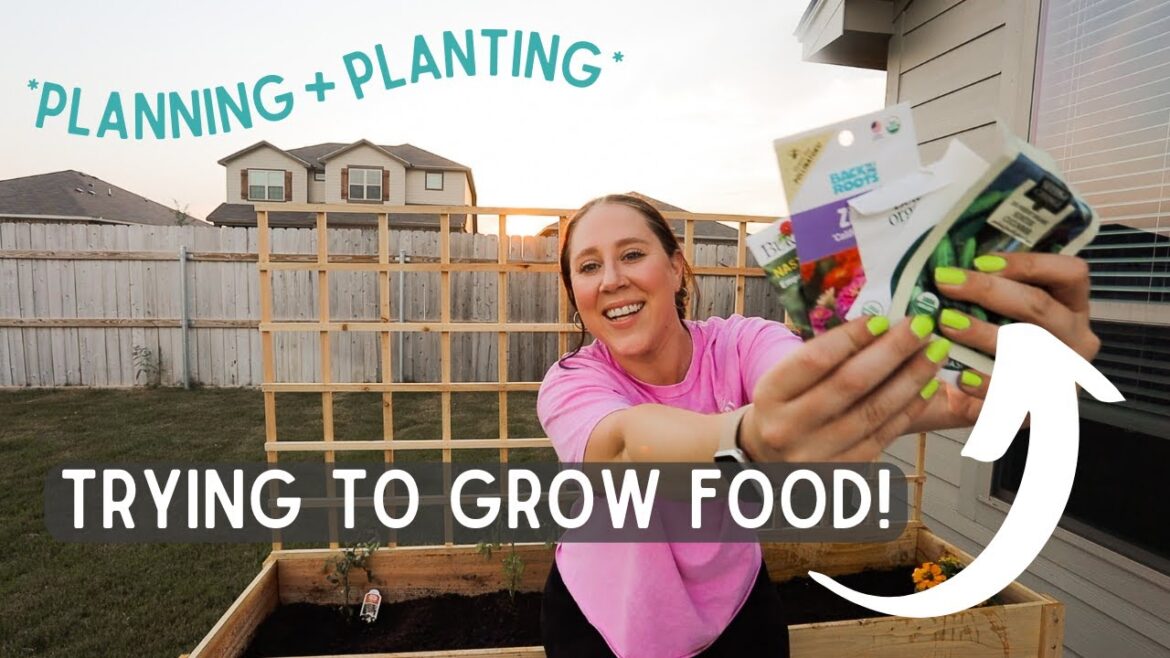 RAISED GARDEN BED planning + planting 🌱 | Revive This Rental- EP4 RAISED GARDEN BED planning + planting 🌱 | Revive This Rental- EP4