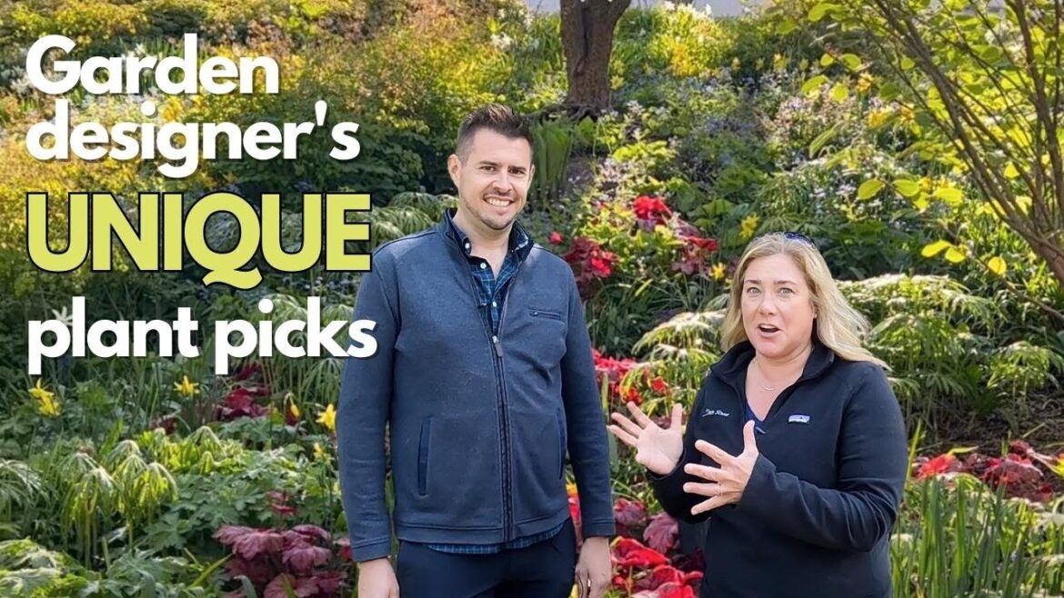 Garden designer: You should grow these perennials Garden designer: You should grow these perennials