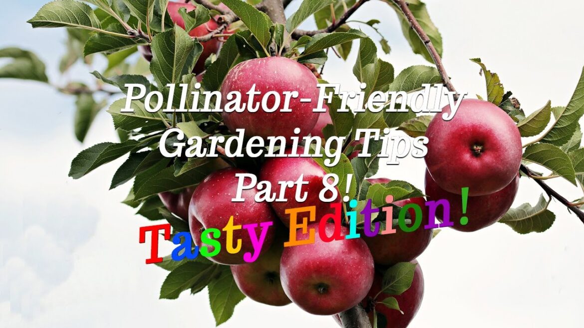 🍎 Tasty Edition 🍒 Pollinator Friendly Gardening Tips 🍓 EP 8