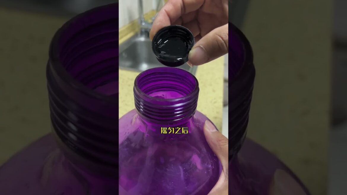 I growing garden at home by Meimei/ Vegetable