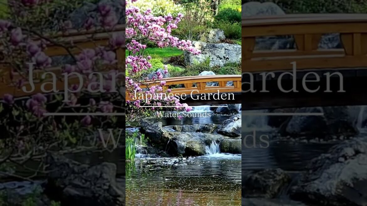 Serenity and Tranquility in a Japanese Garden: Relaxing Nature Sounds