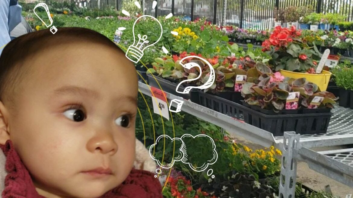 Ano ang garden center?