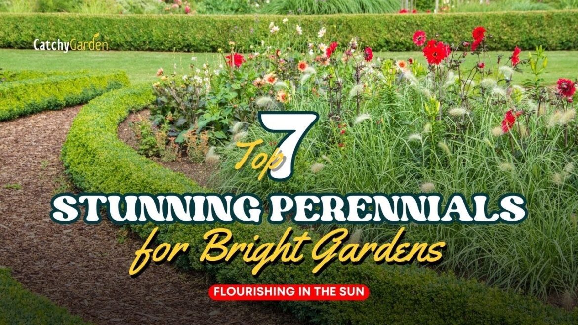 Flourishing in the Sun: 7 Stunning Perennials for Bright Gardens πΊβοΈπΏ // Gardening Ideas Flourishing in the Sun: 7 Stunning Perennials for Bright Gardens πΊβοΈπΏ // Gardening Ideas