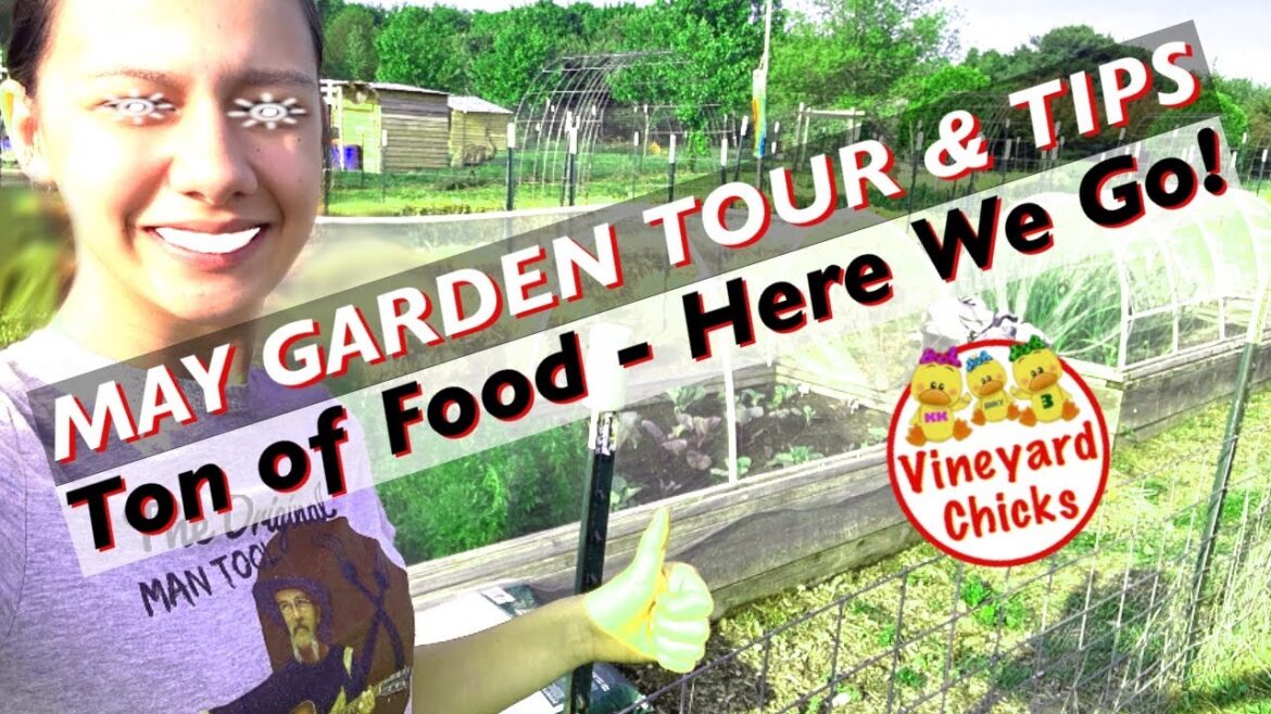 Organic Garden Tour & Garden Tips / Vineyard Chicks Homestead Garden Organic Garden Tour & Garden Tips / Vineyard Chicks Homestead Garden