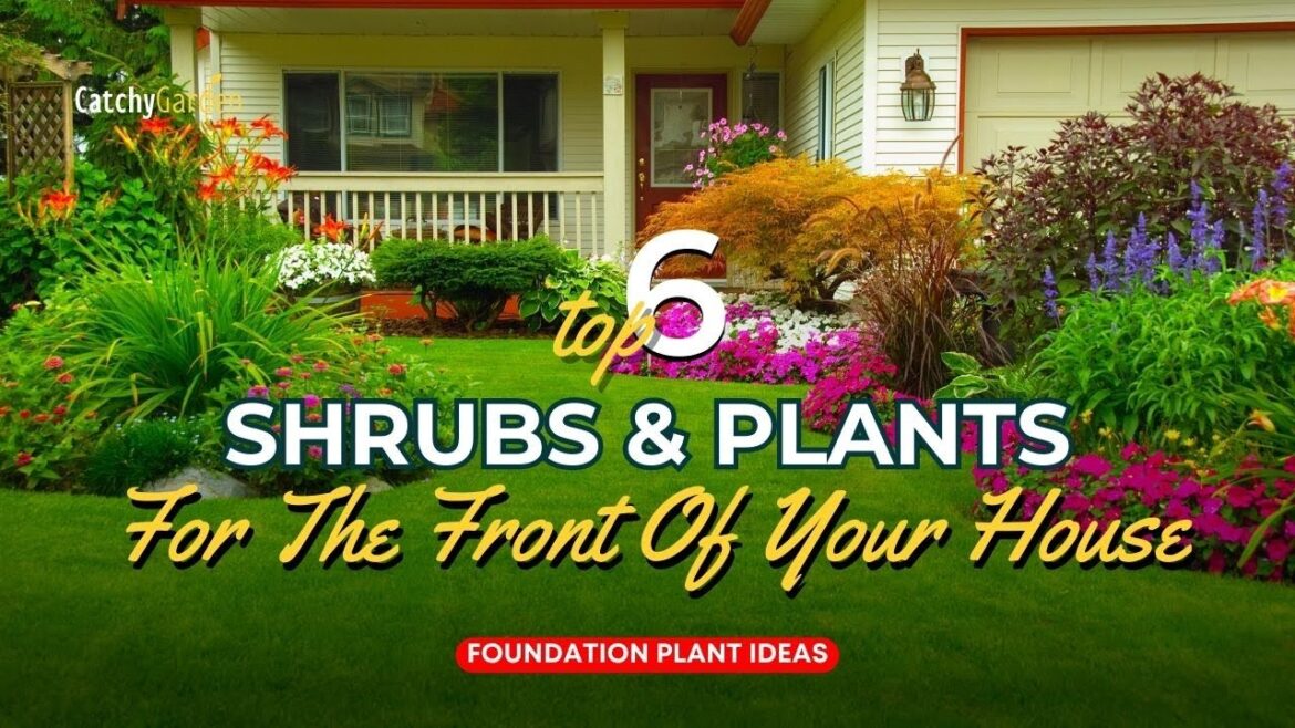 Foundation Plants: 6 Shrubs & Plants For The Front Of Your House 🌸🏡🌹