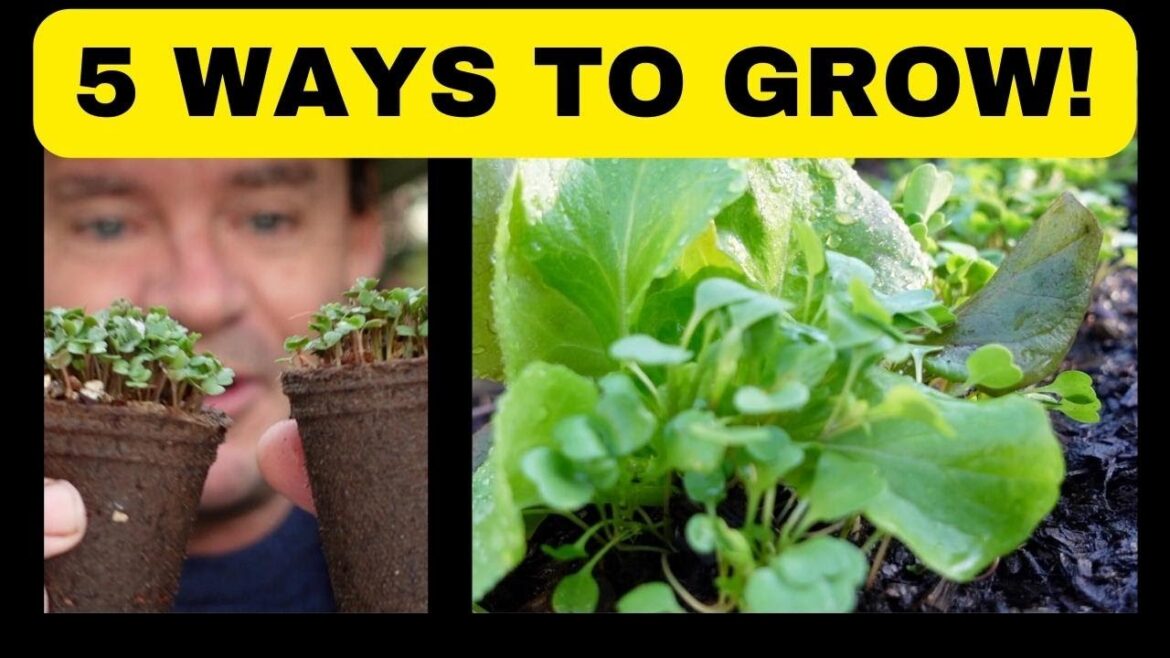 5 Ways to GROW A YUMMY Small Edible Garden 5 Ways to GROW A YUMMY Small Edible Garden