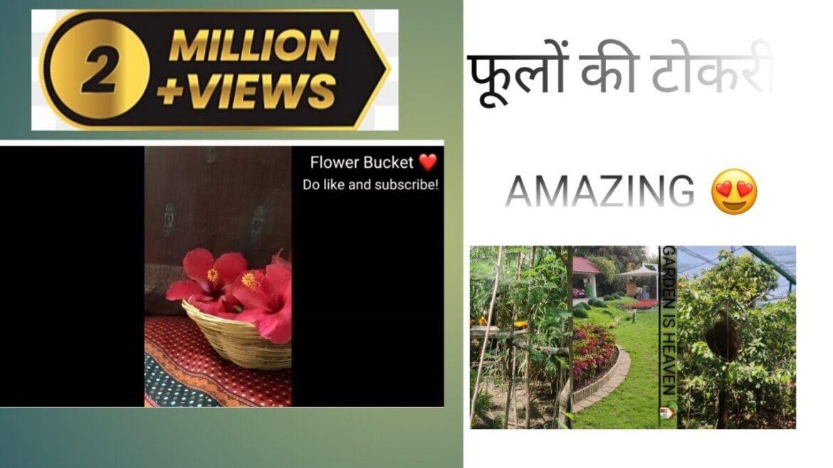 Jug jug jeeve || plant cutting ||gardening || #garden