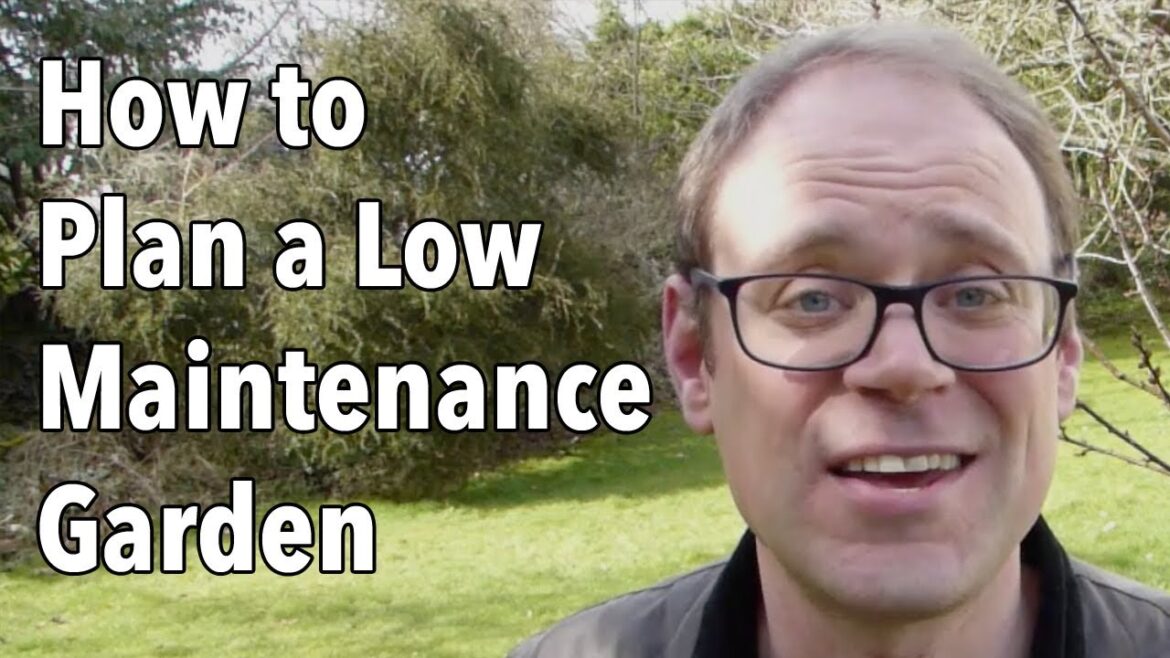 How to Plan a Low Maintenance Garden How to Plan a Low Maintenance Garden